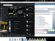 Pantheon Spotify and Telegram in ElementaryOS